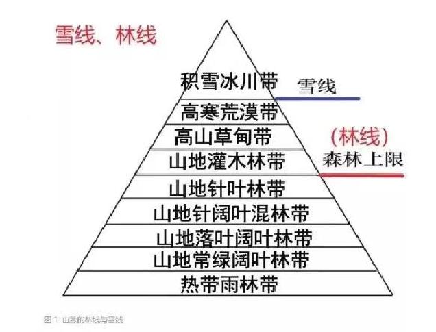 山地垂直自然带谱规律图片