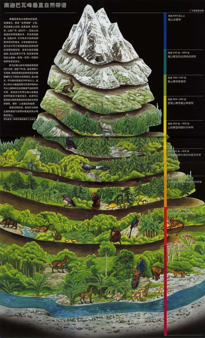 喜马拉雅山脉南迦巴瓦峰山地垂直自然带谱分布图肯尼亚山安第斯山脉乞
