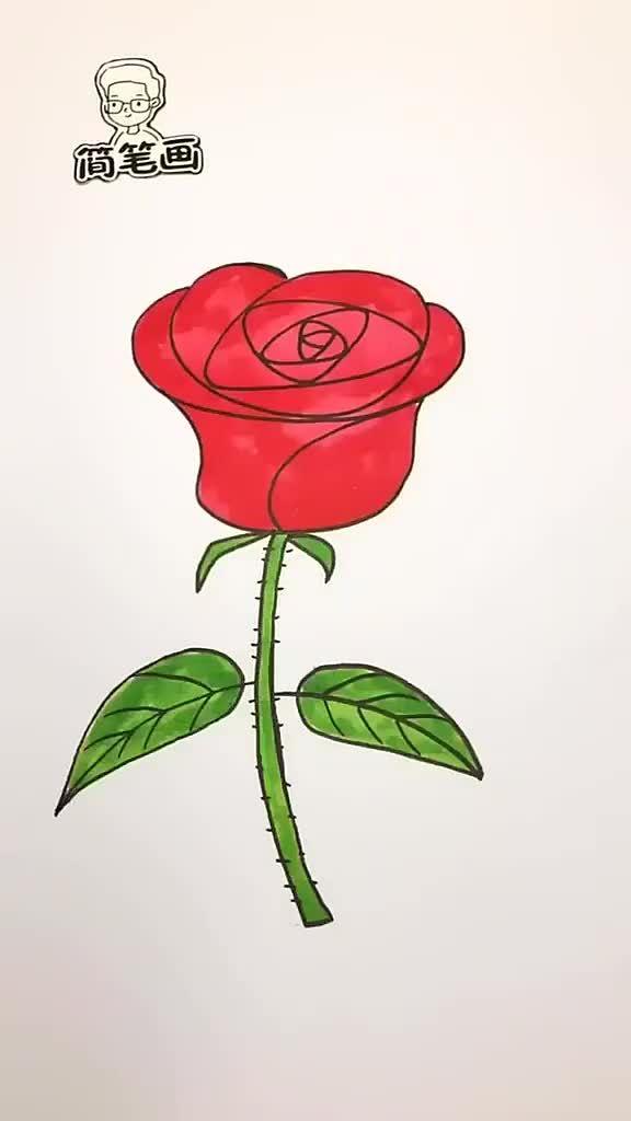 玫瑰的简笔画怎样画?图片