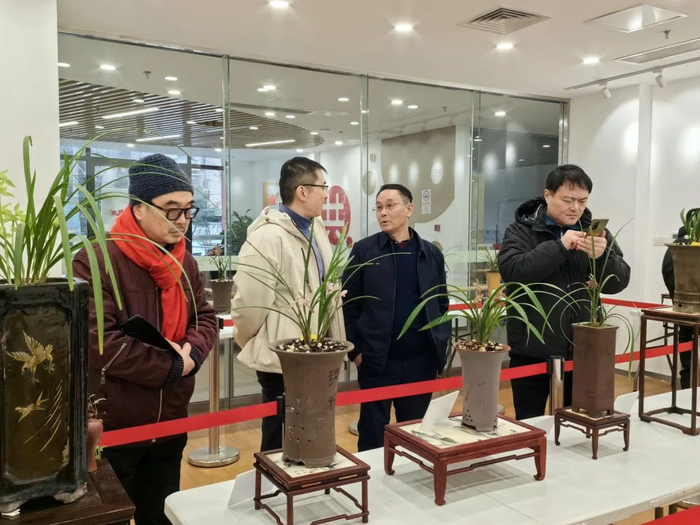 社区达人布展街坊邻里赏兰花