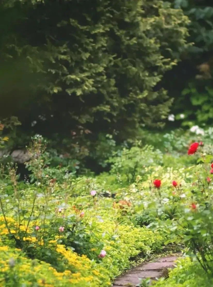 小院,春居|老舍_新浪新闻