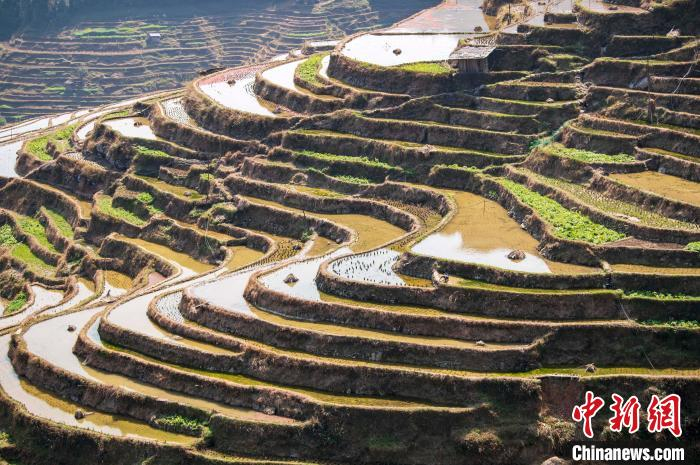 贵州从江梯田春色美如画