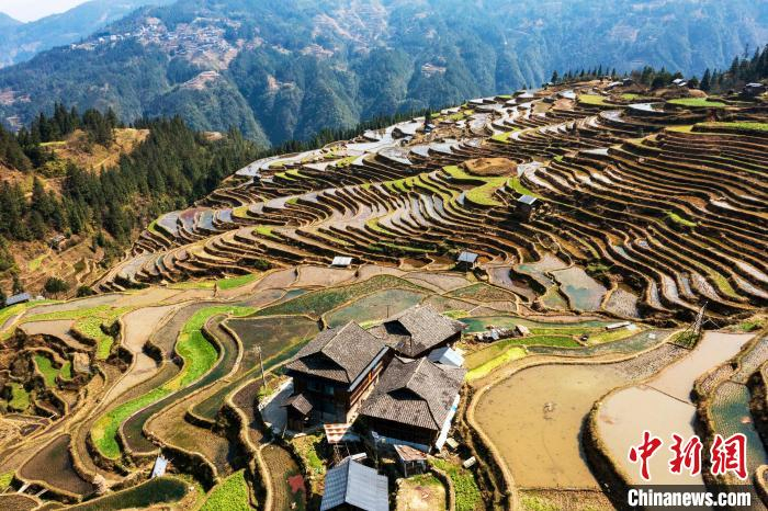 贵州从江:梯田春色美如画|贵州省|梯田|吴德军_新浪新闻