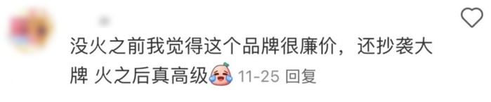 （图/小红书截图）
