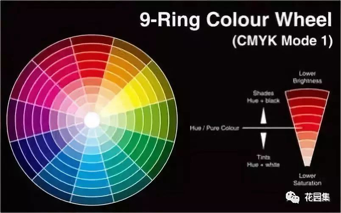 点开收藏这篇文章~花园里的植物配色小技巧全都交给你,让你的花园满满
