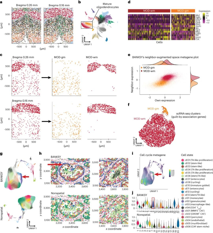 banksy 可以对小鼠下丘脑merfish和人类结直肠癌merscope数据进行无