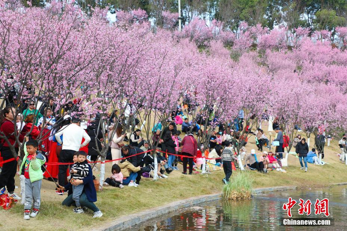 春日山城花烂漫游人如织赏春光