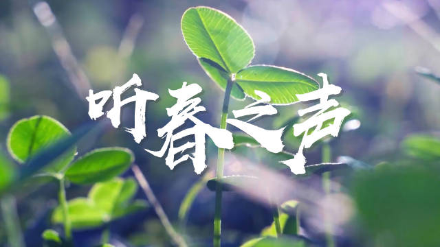 微视频丨听春之声