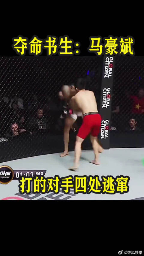 夺命书生马豪斌