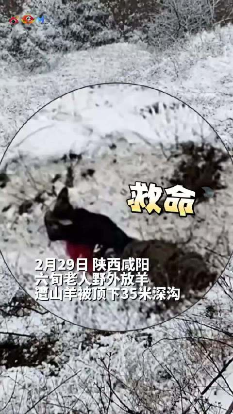 老人野外放羊反被羊顶下35米深沟