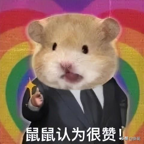 女大佬撩拨小娇夫,外网磕疯了|穿搭|杨幂|戚薇_新浪新闻