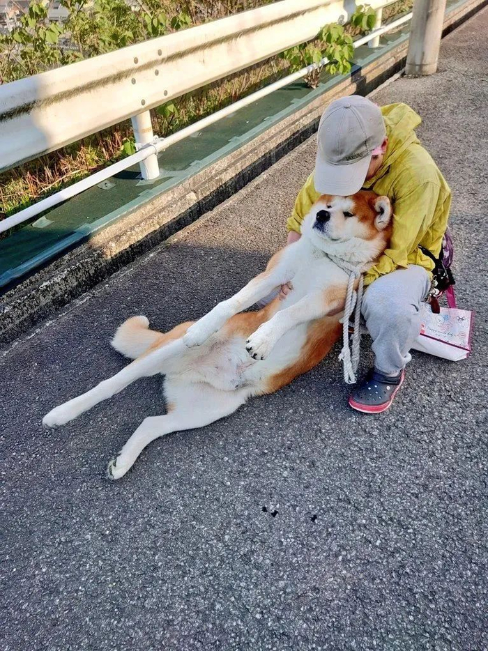 "没错,其实就是个表情高冷了点,脾气犟了点的毛孩子呀!
