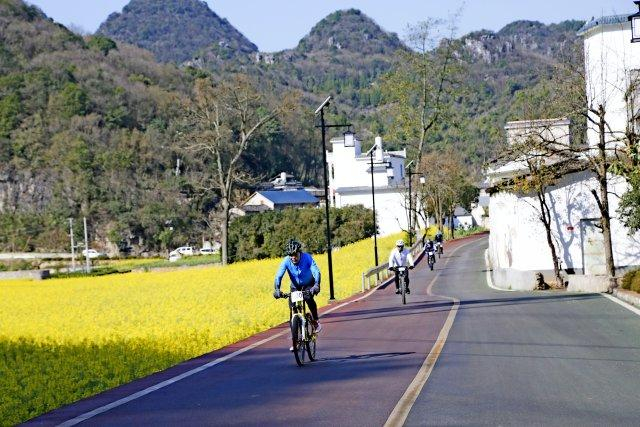 有一种叫云南的生活点燃春日激情罗平花海山地自行车赛骑乐无穷