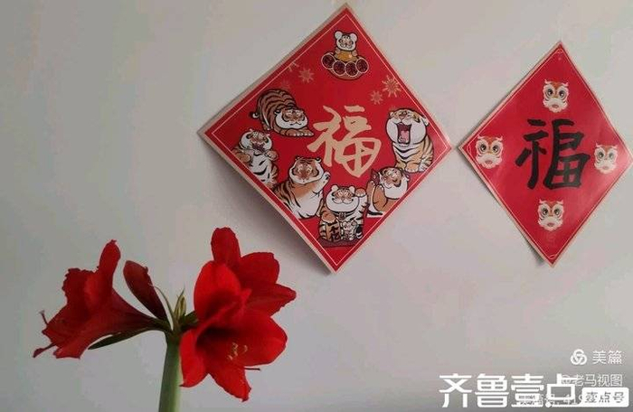 红福花开迎新春