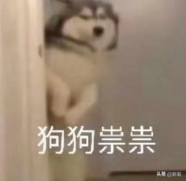 两个人不熟,准备惊喜时的小雀跃被演出来却变成了唯唯诺诺的样子
