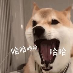 5,屠鸭秘诀是?|雅思_新浪新闻