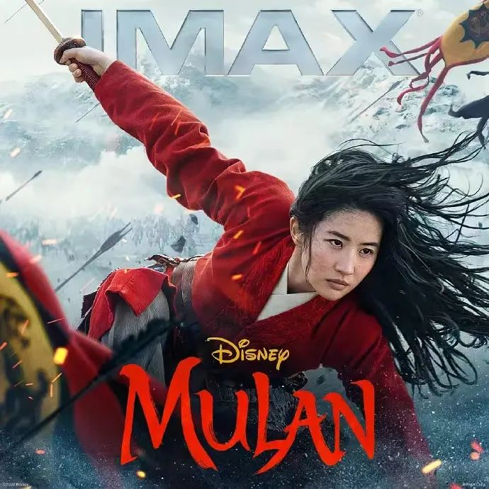 （《花木兰》（图源：豆瓣）