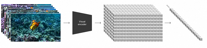 来源：Sora技术文档