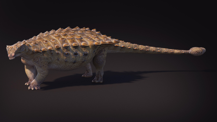 恐龙王国中国新恐龙把脑袋叠在了一起