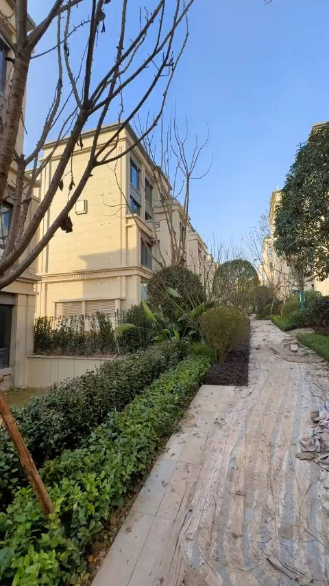 茶园龙湖康田麓宸下叠叠拼别墅朝中庭6月接房的准现房