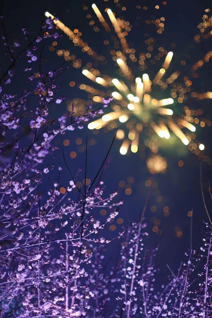 美的发现 | 春天,最溧水~|溧水|梅花节|华苑_新浪新闻