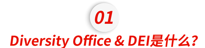 大无语美国公立大学正在劝退中国学生砍掉多样性办公室禁止dei实施