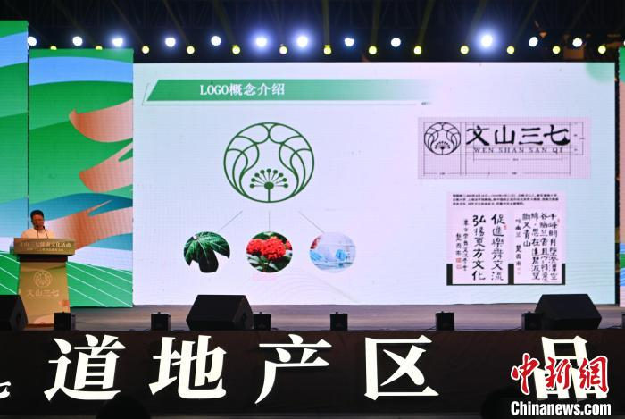 云南文山推动三七产业创新发展 打造世界"三七之都"|文山壮族苗族自治