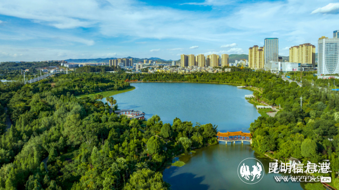 繁花呈贡樱你而美周末到洛龙公园奔赴一场粉红盛宴