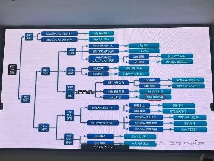 恐龙小芭蕾我再说一次真诚的人才配谈恋爱@yangzya给大家解释一下,这