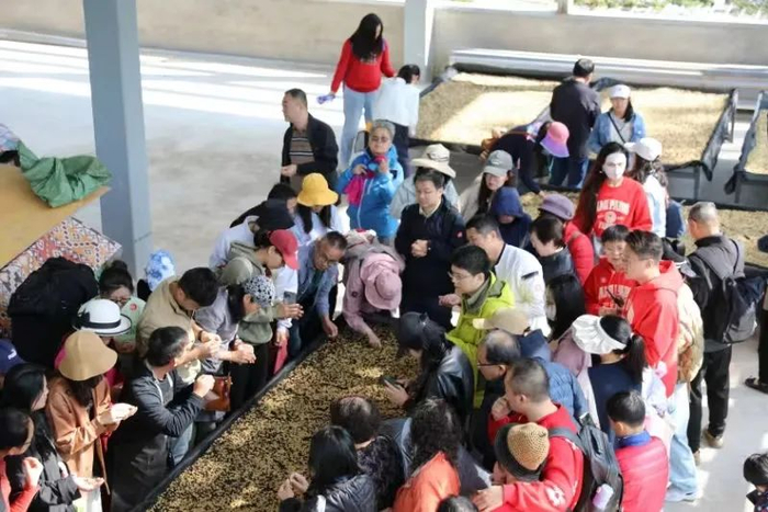 图源：受访者供图