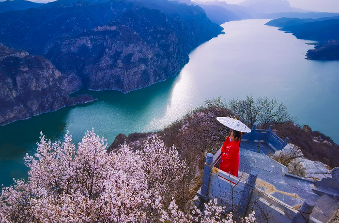 9元畅游黄河三峡桃花岛,感受黄河岸边的十里桃花.