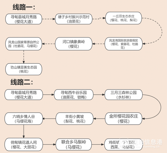 寻甸县"寻游四季61浪漫花海旅游季"启动 五大活动体验春花浪漫奇妙