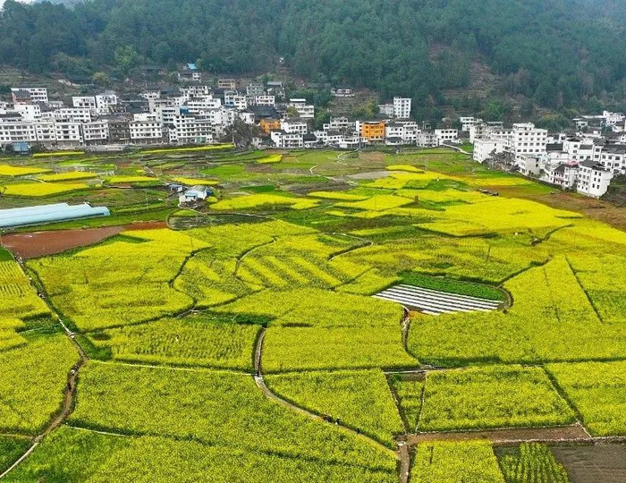 恩施土家族苗族自治州_新浪新闻