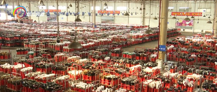 单日最高供货量达546万枝昆明这些花卖爆了