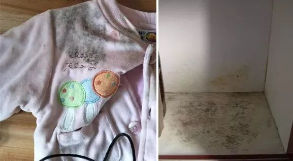 好物家里太湿了吸湿防霉反复利用每天才几毛钱