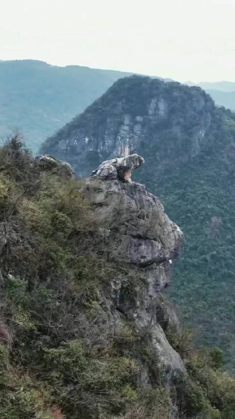 金蟾望月见者好运连连