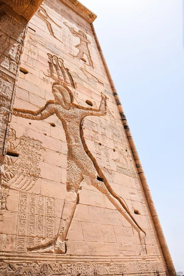 已成团古国世界史埃及游学成人专场溯源尼罗河探秘古埃及