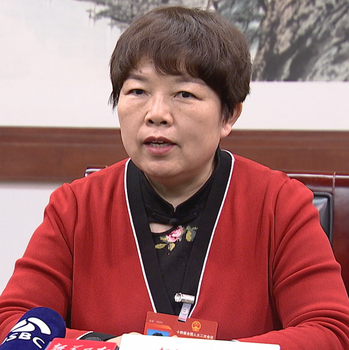 如何发展新质生产力?江苏团企业代表这样说