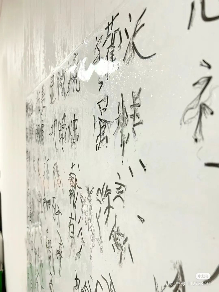 以后不要把问题都怪罪在周边所有人身上|猫_新浪新闻