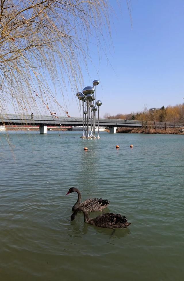 郑州雕塑公园介绍图片