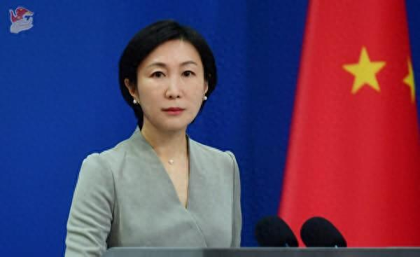 毛宁资料图。图源：外交部网站