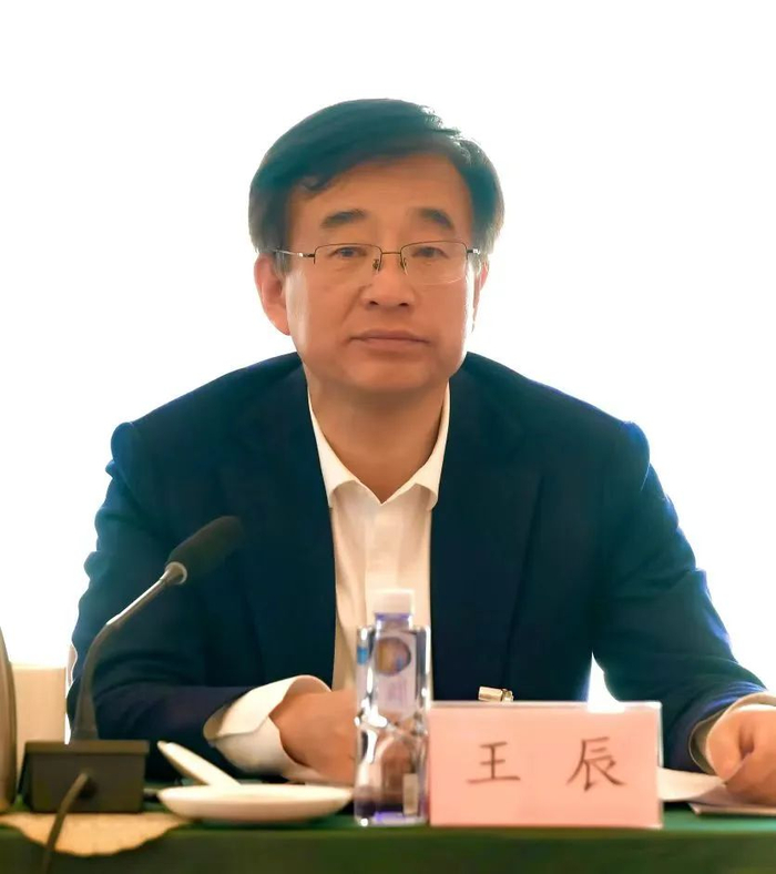 王辰院士