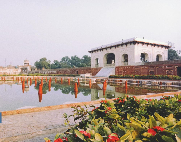 【视频】漫步在诗性的巴基斯坦,感受中巴友谊的美好|巴基斯坦|大学