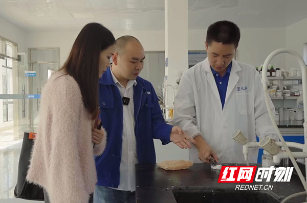 凡尘微光,"她"在前行|杨秀|杨琼_新浪新闻