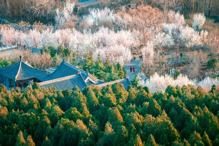 山东,为什么像两个省?|山东省|中国_新浪新闻