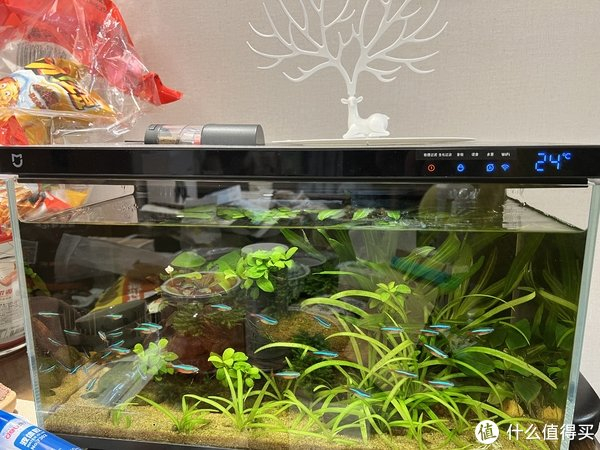 小米鱼缸的水雾解决方案