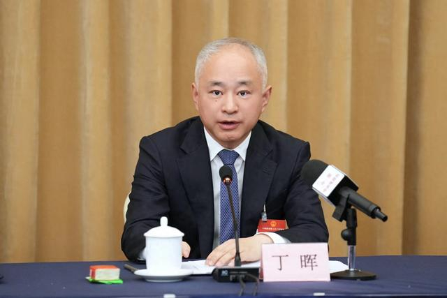 海口市市长丁晖在海南省代表团全体会议上。 海南省新闻办 供图