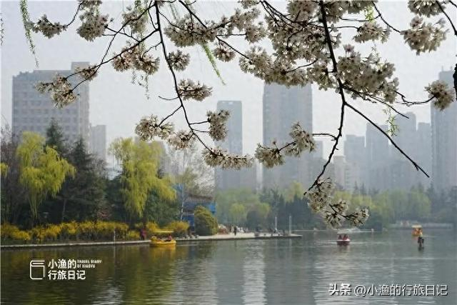 地铁直达的西安老公园春天颜值媲美兴庆公园踏青赏花遛娃