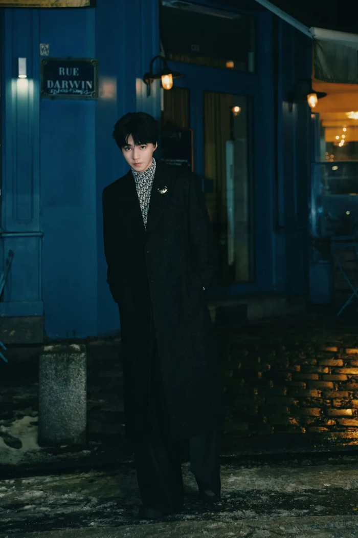 发现了一些猫系男主的致命吸引力|猫咪|丁禹兮_新浪新闻