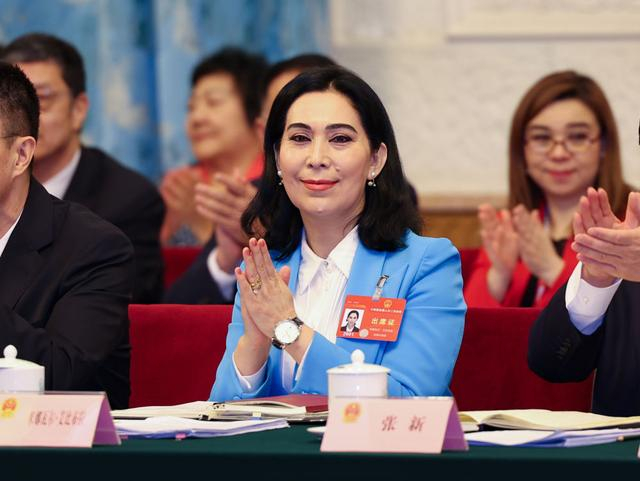 全国两会|全国人大|武汉市_新浪新闻